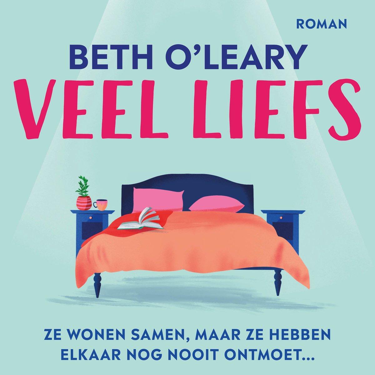 Omslag van Veel liefs