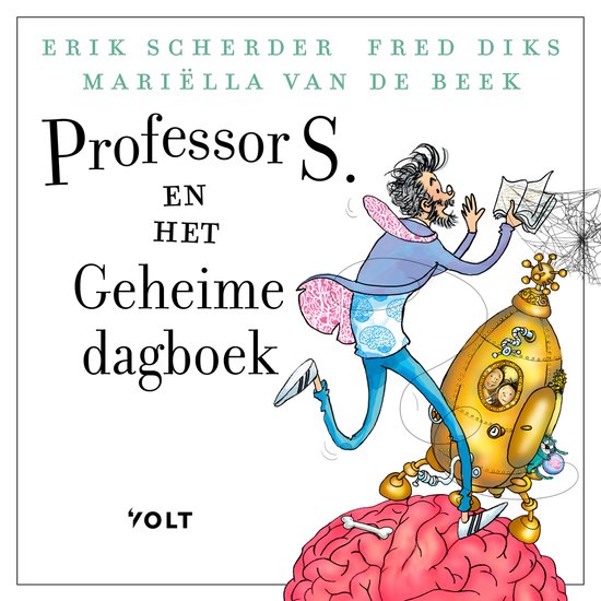 Professor S. en het geheime dagboek - cover