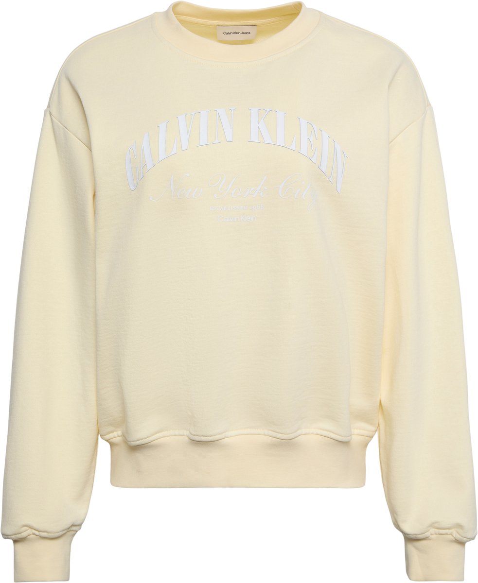 Calvin Klein Trui Logo Graphic Crewnec Lv047f818g Zrk Pear Sorbet Dames Geel