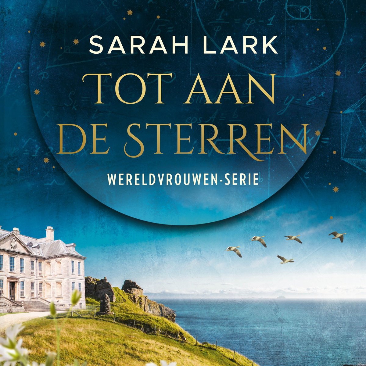 Omslag van Tot aan de sterren