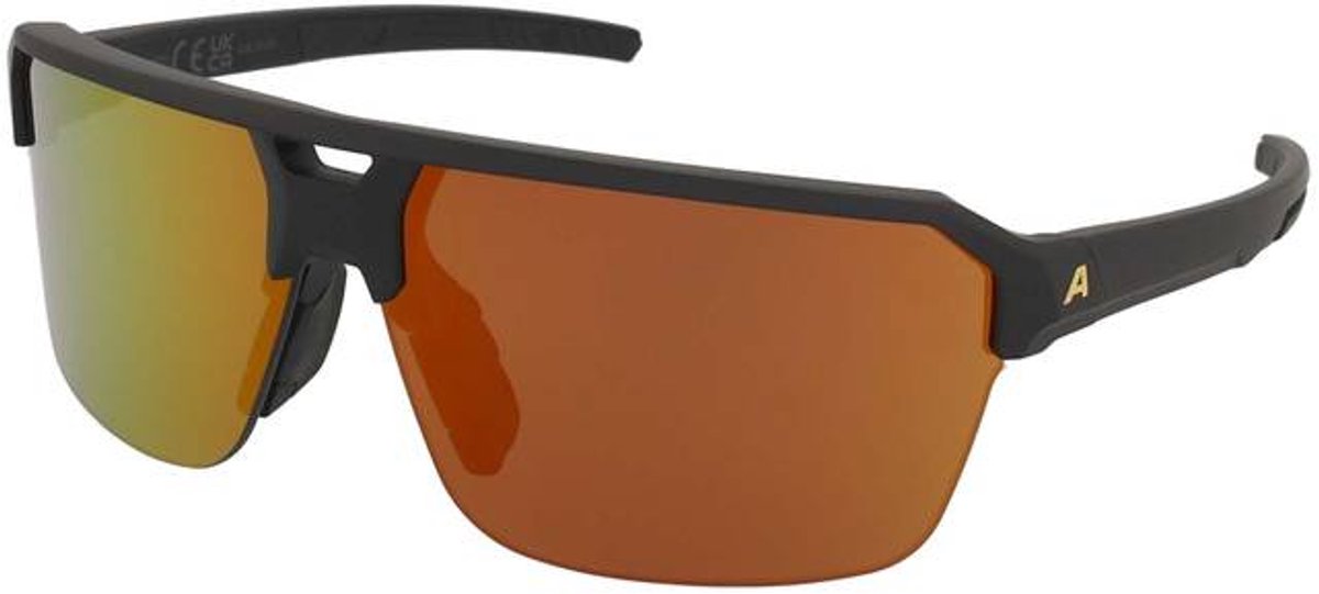 Zonnebrillen Alpina Swift HR Black Gold Matt/Gold Mirror