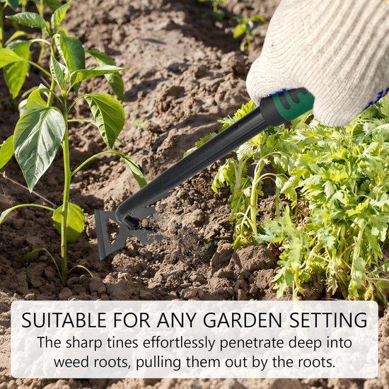 Onkruidverwijderaar Set - Onkruidsteker Tuin - Onkruid Vrij Maken - Roestvrij Staal - 40 cm Lengte — afbeelding 2