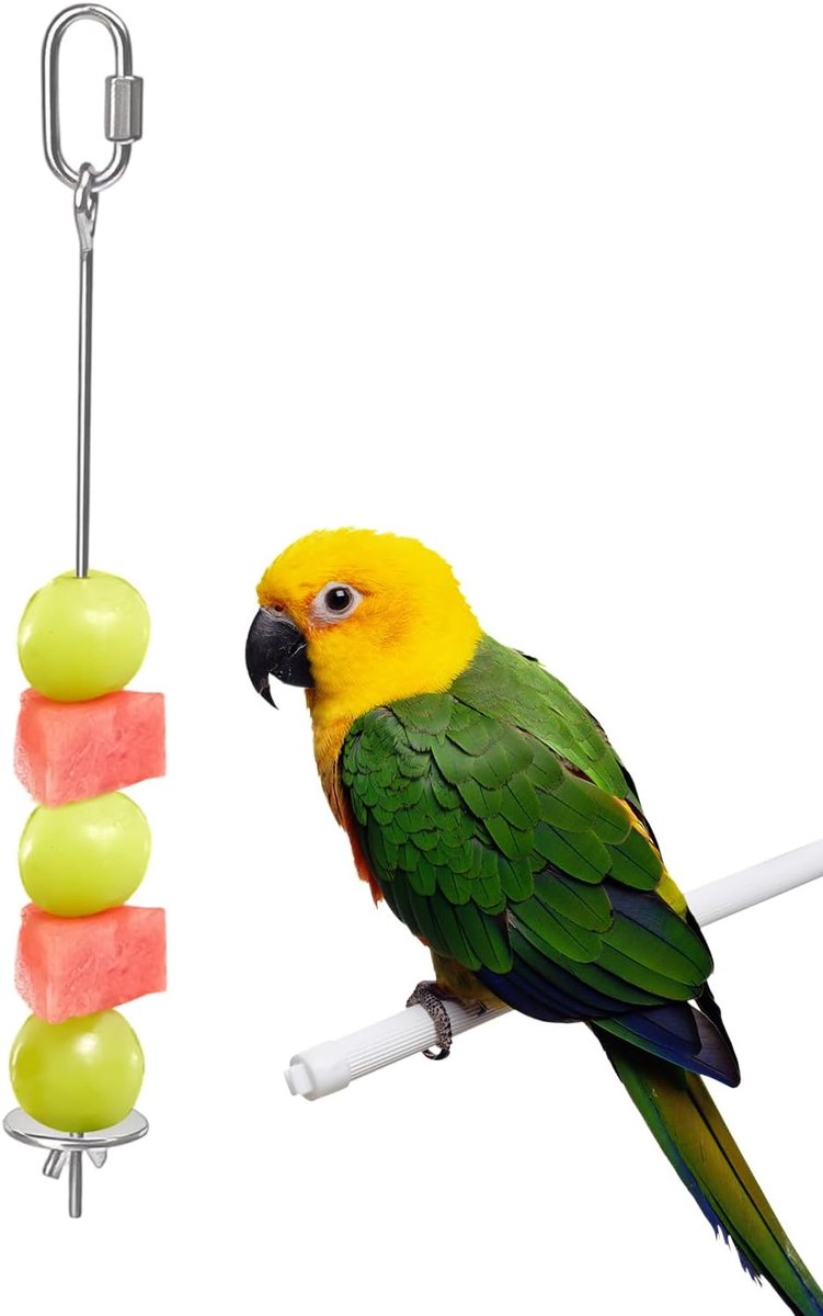 Vogelvoederspies - Snackhouder Fruit - Voerhulpmiddel Vogels - Roestvrij Staal - Klein tot Groot - Zilverkleurig