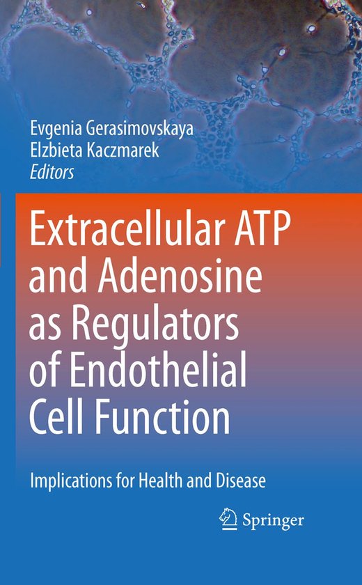Extracellular ATP and adenosine as regulators of endothelial ... - cover