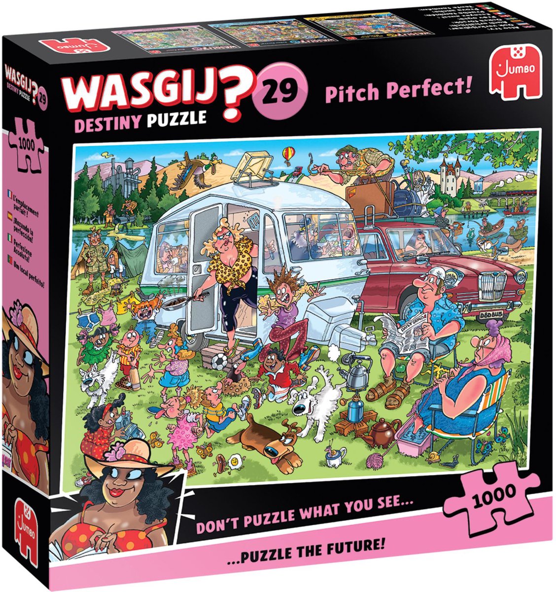 Wasgij Destiny 29 - Op de camping! - Pitch Perfect! - 1000 stukjes puzzel - Legpuzzel