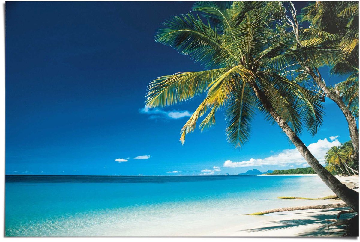 Poster Beach - morning - 61 x 91,5 - Papier - REINDERS