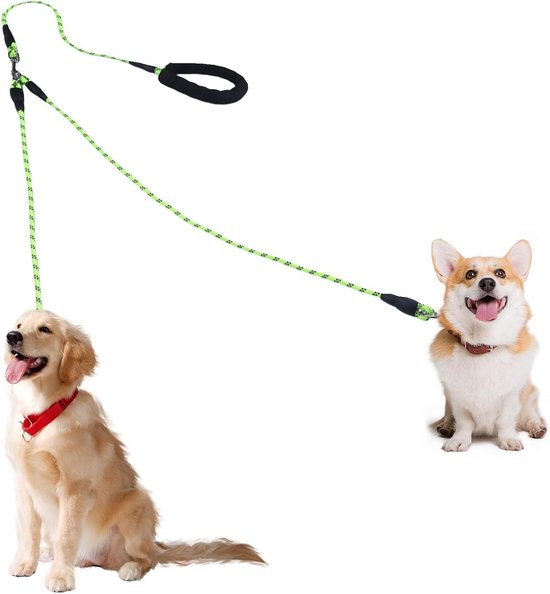 Allecto Plus - Laisse double pour 2 chiens avec fonction pivotante à 360° - Convient aux chiens de petite et moyenne taille jusqu'à 40 kg - Laisse réfléchissante - Poignées rembourrées - Vert 12 mm - Laisse idéale pour les promenades en soirée