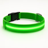 Professor Q – LED Halsband Hond – Lichtgevend - Oplaadbare LED Halsband Hond – Groen – Maat XS