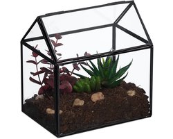 planten terrarium - 16 x 16 x 11,5 cm - glas - vensterbank - zwart