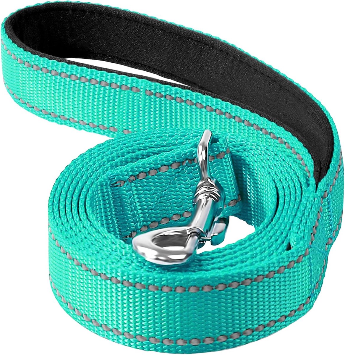 Reflecterende nylon hondenriem van 1,82 m met gevoerde handgreep voor wandelen, hardlopen en training, geschikt voor kleine en middelgrote honden (blauwgroen, 1,9 cm breed)