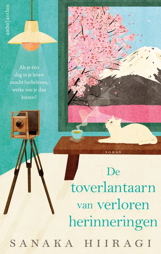 De toverlantaarn van verloren herinneringen - cover