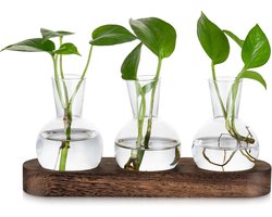 Voortplantingsstation Voor Plantenliefhebbers - 3 Glazen Vazen Met Bruin Houten Dienblad Voor Decoratie Van Woonkamertafel - Desktop Terrarium Hydroponics Voor Bloemen Planten Stekken En Groenvoorziening