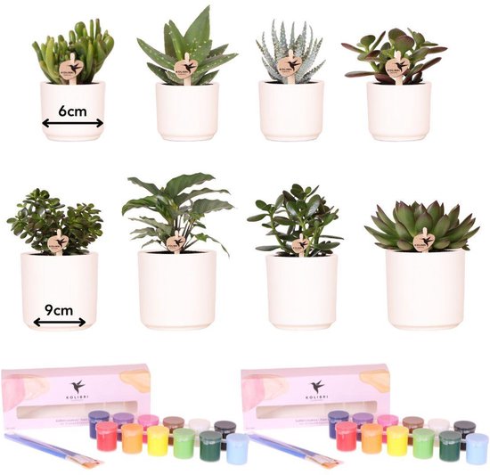 Ronde sponsborstels - 40 stuks voor het schilderen van schuimverfkwastenset met houten Ronde sponsborstels - 40 stuks voor het schilderen van schuimverfkwastenset met houten