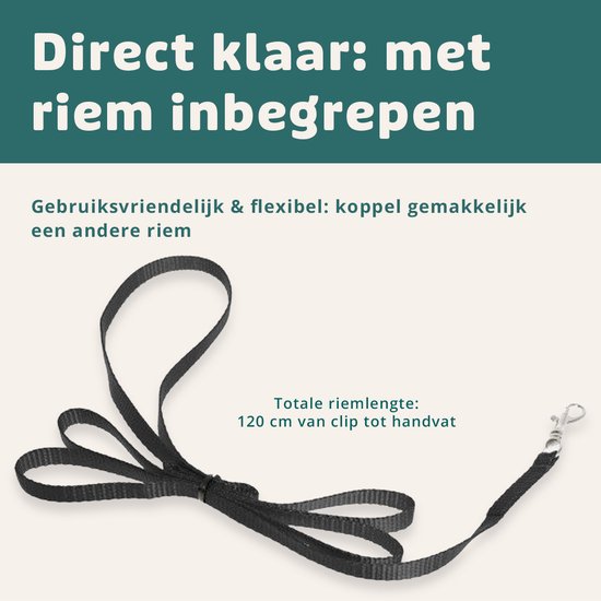 Kattentuigje Met Looplijn Kattenharnas Kittentuigje Kattenriem Met Looplijn Kat Kitten Tuigje Verstelbaar - Zwart