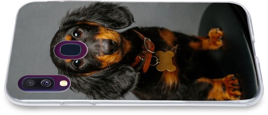 Coque Samsung Galaxy A40 - Studio photo de chiot teckel - Siliconen - Sinterklaas - Noël - Cadeaux - Chaussures cadeaux