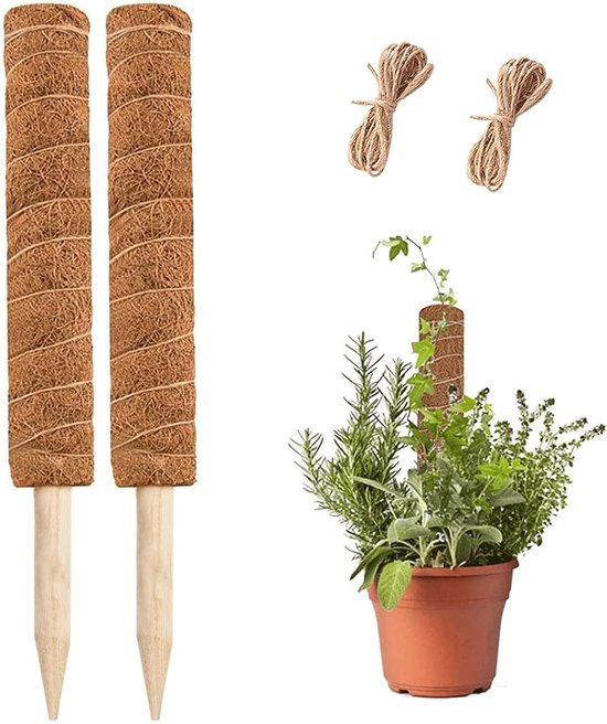 Mosstok - 2 - Monstera Plantenstandaard - Mosstok van 30 cm - Plantenklimrek - Verlengstok - Klimstok voor binnenplanten - Jute touw inbegrepen - Groene mandstok Monstera Ondersteuning Klimrek