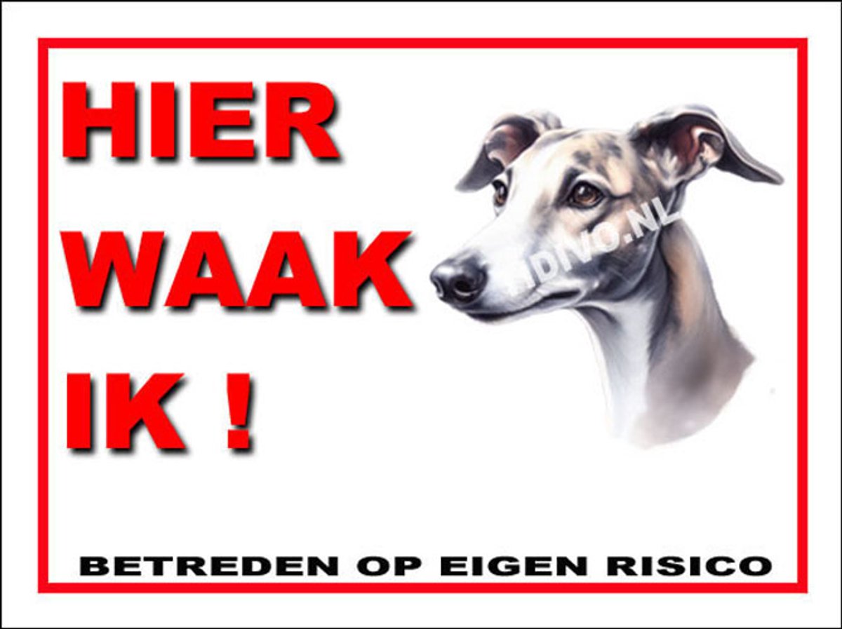 Greyhound 3