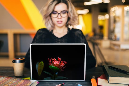 Autocollant pour ordinateur portable - 11,6 pouces - Une image d'une fleur tropicale sur fond noir - 30x21cm - Autocollants pour ordinateur portable - Skin pour ordinateur portable - Housse