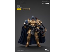 Stormcast Eternals The Blacktalons Shakana Goldenblade – Warhammer Age of Sigmar