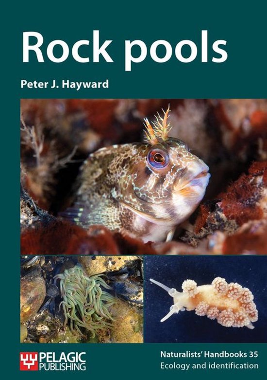 Naturalists' Handbooks 35 - Rock pools