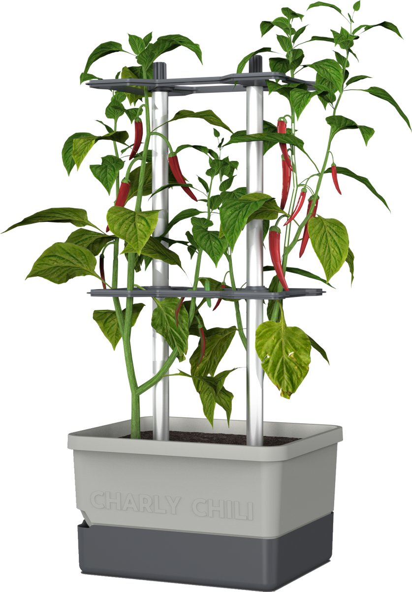 Gusta Garden - Charly Chili - Chiliplanten - Chiliplanter met watertank - Kweekbox - Kweektafel - Lichtgrijs