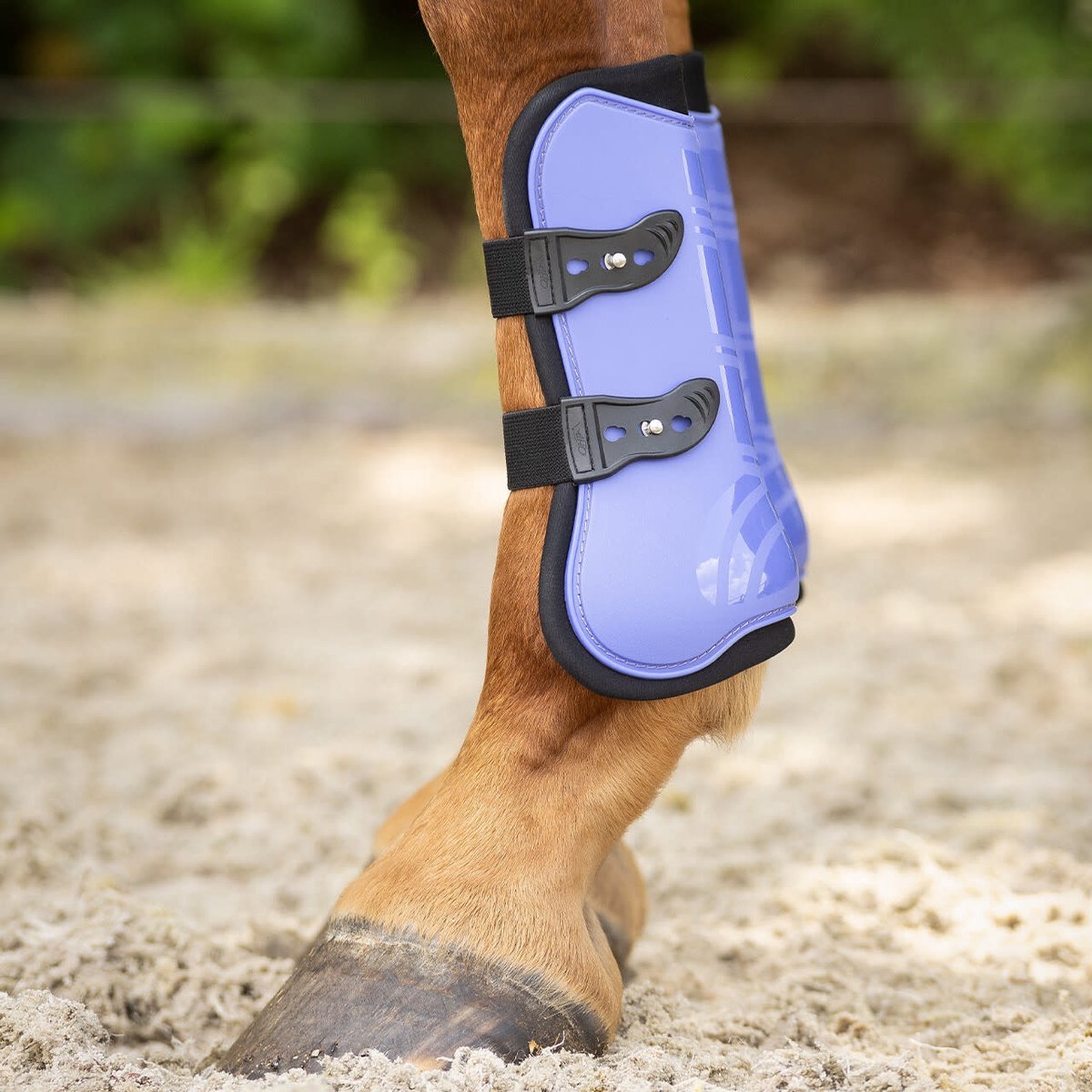 Qhp Peesbeschermersset Paars - Pony