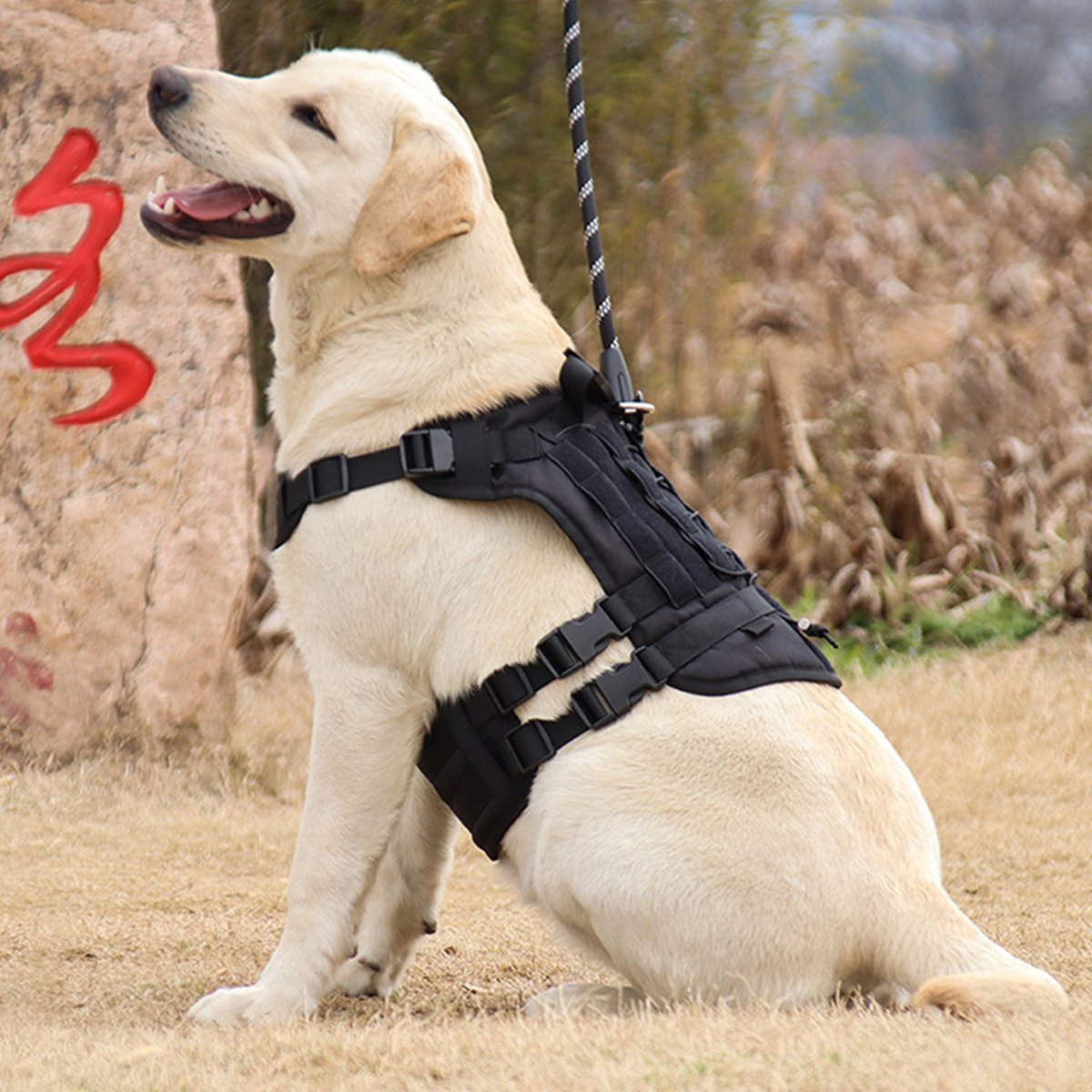 CHIWIN Verstelbaar Hondentuigje voor Middelgrote Honden (20-30kg) – Veilig & Ademend – Met Antislip Handvat en Flessenlus – Borsttuig met Klittenband voor Naamlabel – 60-80cm Borstomvang – Zwart