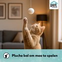 Oranje kat speelt met een witte pluizen bal aan een touwtje.