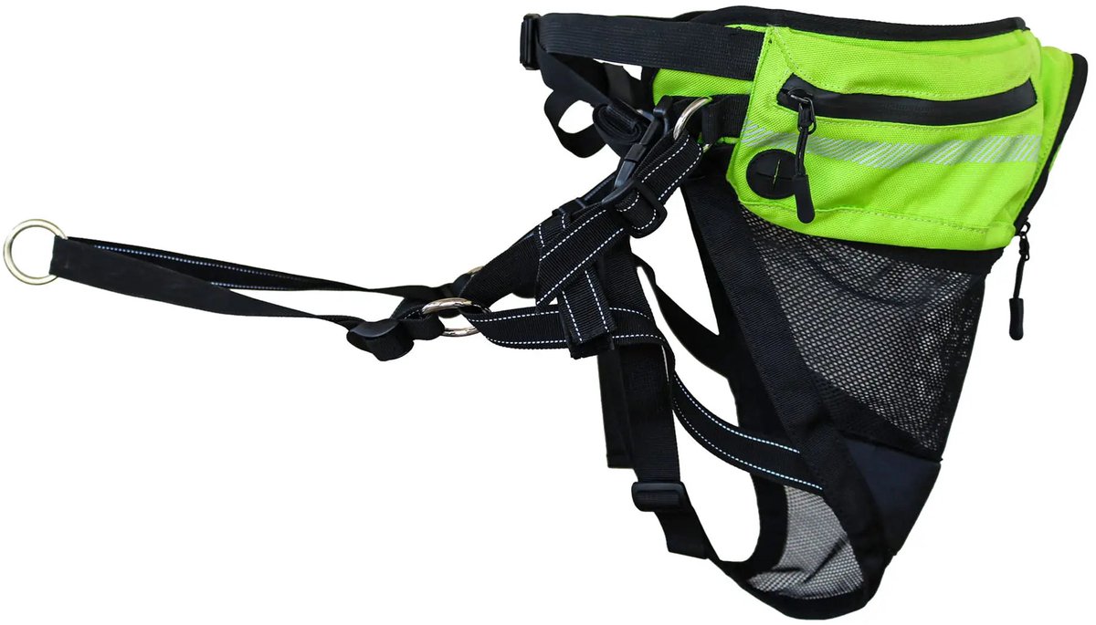 Explorer Belt