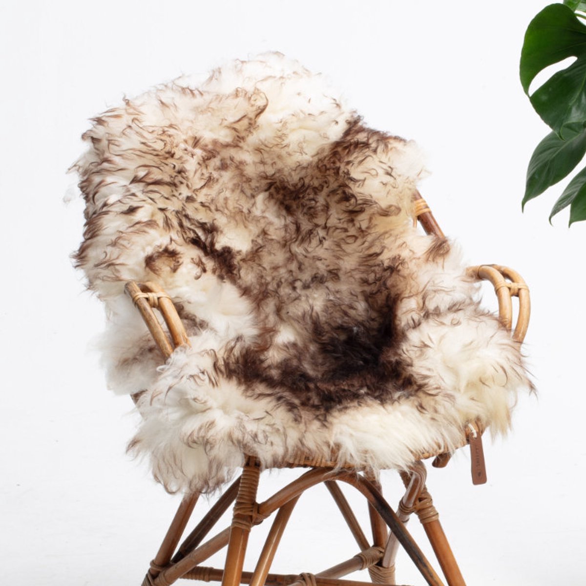 SHEEPY® | Schapenvacht | Lukaš (Bruin Wit) S (90-100cm) - Sheepy.cc