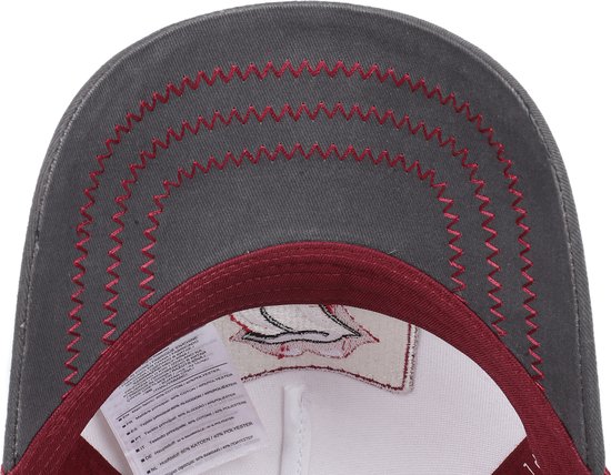 Rolling Stones, The Amplified Collection - Trucker Cap Cap meerkleurig