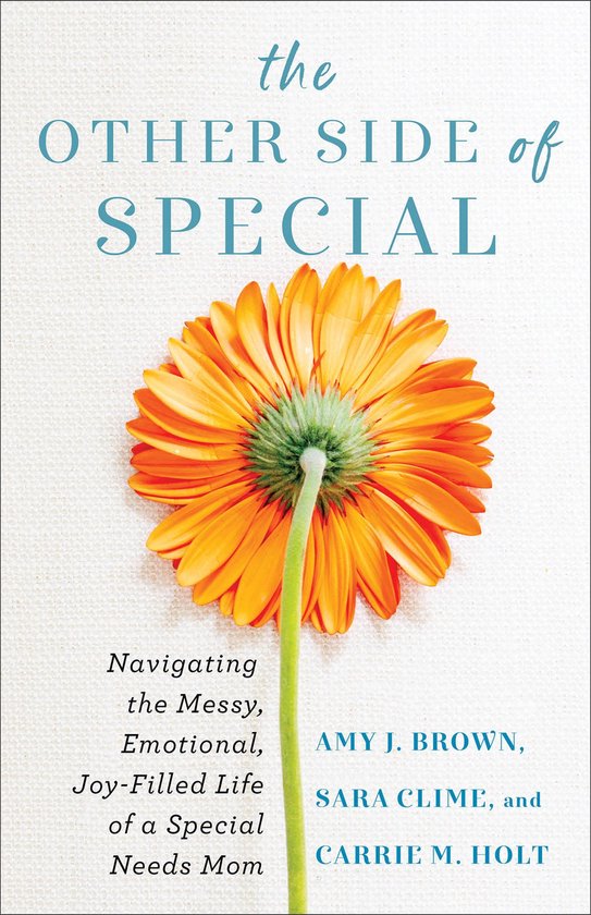 The Other Side of Special - cover