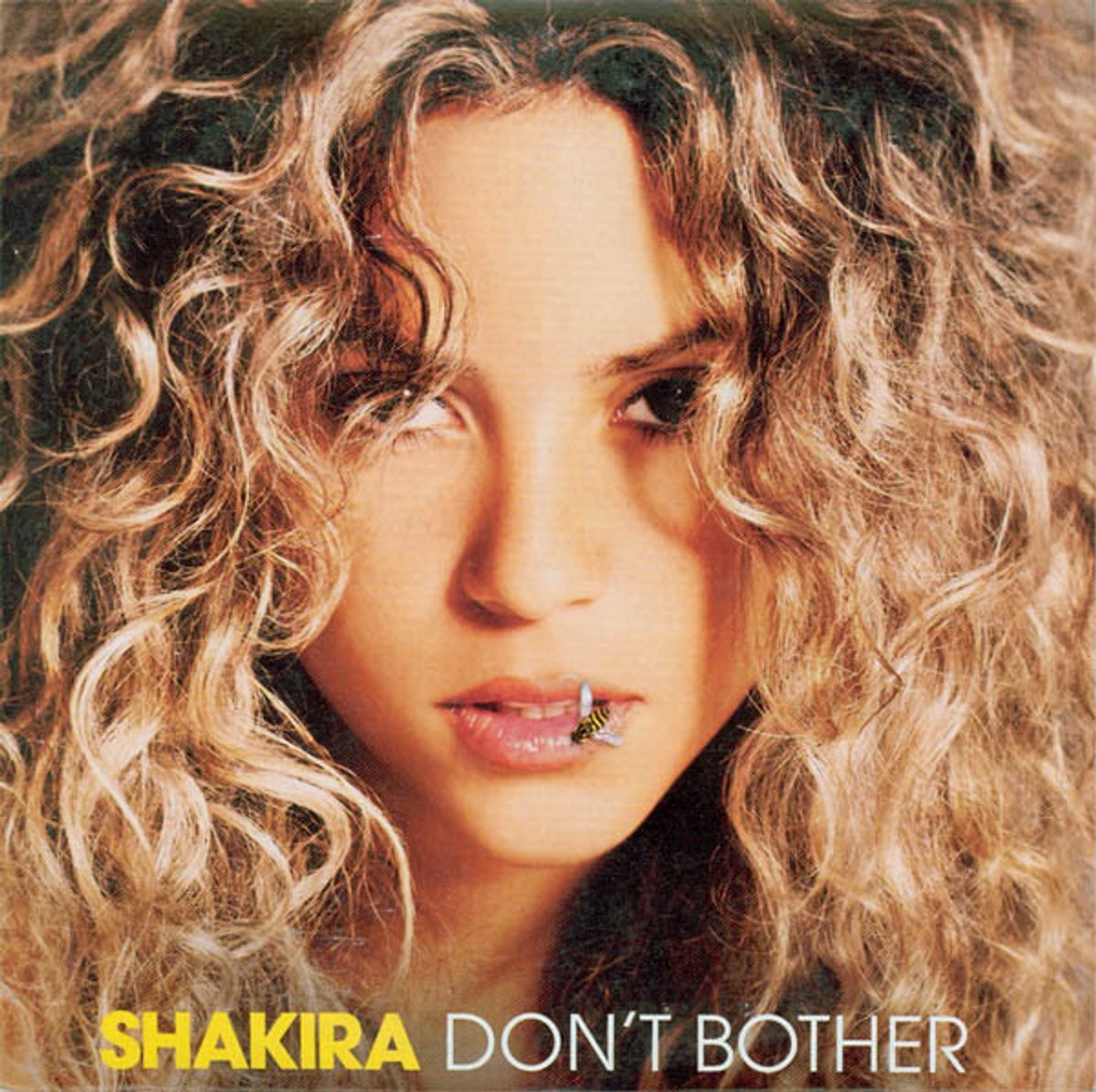 Don T Bother