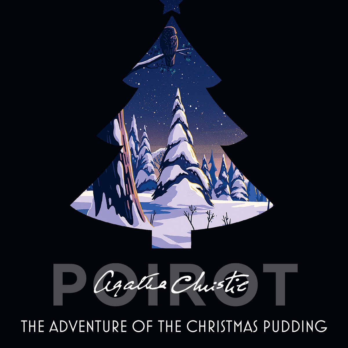 Omslag van The Adventure of the Christmas Pudding