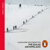 Livre audio numérique