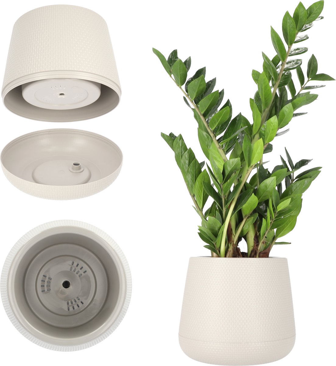 KADAX Bloempot van kunststof, diameter 13-23 cm, 4 kleuren, ovale pot met onderzetter, plantenpot, plantenbak, sierpot, sierpot, diameter 17 cm, beige