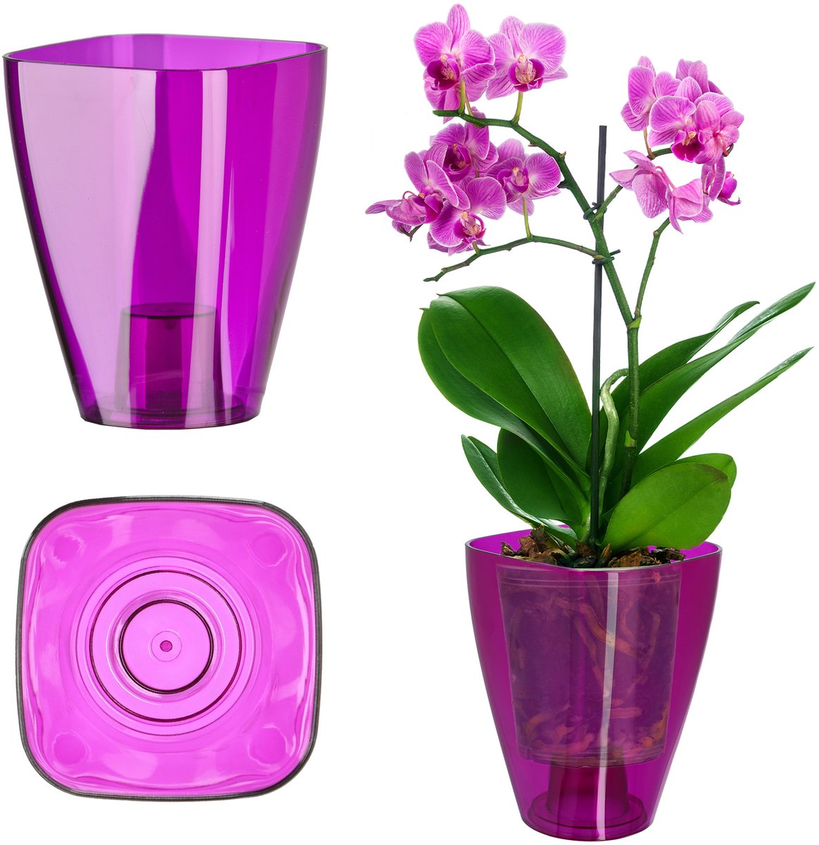 KADAX Bloempot, slanke orchideeënpot, eenvoudige plantenbak, bloempot voor orchidee, Moeras Madeliefjes, plantenbak voor keuken en woonkamer (diameter 12 cm, vierkant, pruim)