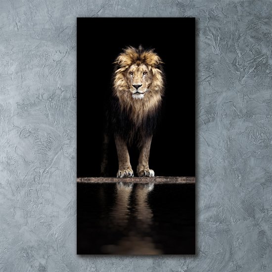 Tableau Décoratif Sur Verre Trempé 100x50 Cm - Lion Noir Et Blanc Style Moderne Tulup