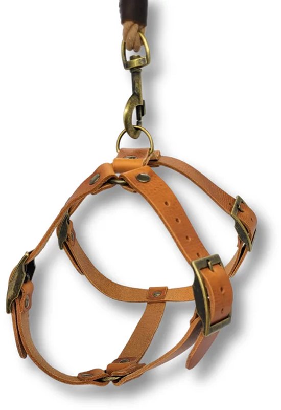 Camelkleurig leren Y-tuigje met metalen gespen en een ring, hangend aan een riem.