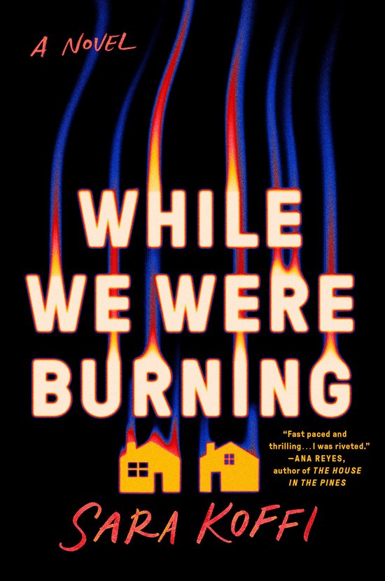 While We Were Burning - cover