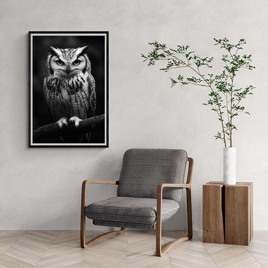 Hibou Poster | Noir|Wit Affiche | Animaux Poster | Affiche Nature | Vogel Poster | Photographie Affiche | Affiche sur la faune | 60x90cm | Décoration murale | Affiche murale | 5401KMD | Convient pour l'encadrement