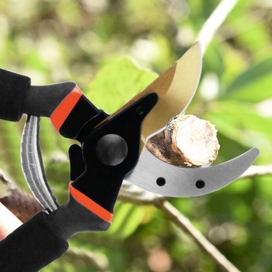 Tuinschaar - Snoeischaar - Bypassschaar - geschikt voor takken, heggen en bloemen - Tuinschaar cadeau van Merkloos	 — afbeelding 2