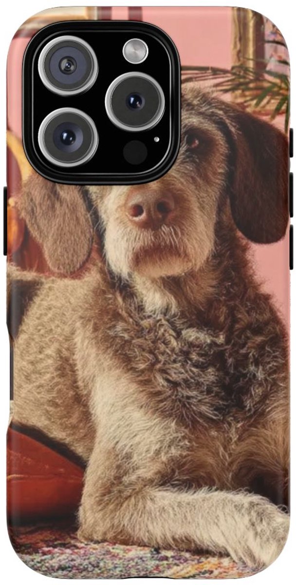 Bruine Hond Ontspant Binnen – Telefoonhoesje Geschikt voor iPhone 16 Pro