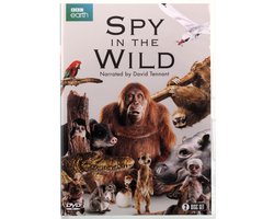 Spy In The Wild
