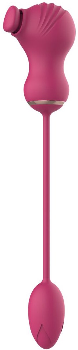 Paren Massager Dream Toys Essentials