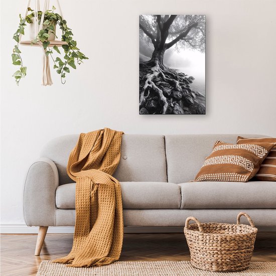 Oude boom met zichtbare wortels - Boom glazen schilderijen - Schilderij natuur - Hyperrealisme - Plexiglas schilderijen - Wandkunst plexiglas - acrylglas 40x60 cm