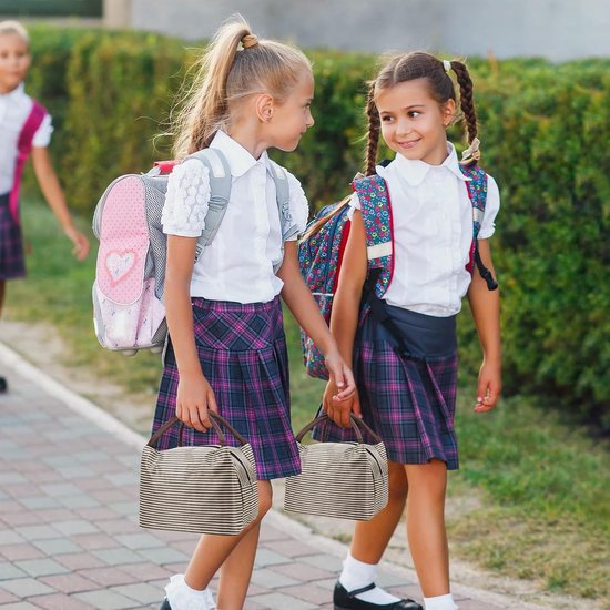 Lunchtas - Koeltas - Geïsoleerd - Kleine gekoelde lunchbox - Waterdicht - Volwassenen en kinderen - Voor werk - School - Picknick - Buiten - Bruine strepen van Merkloos — afbeelding 2