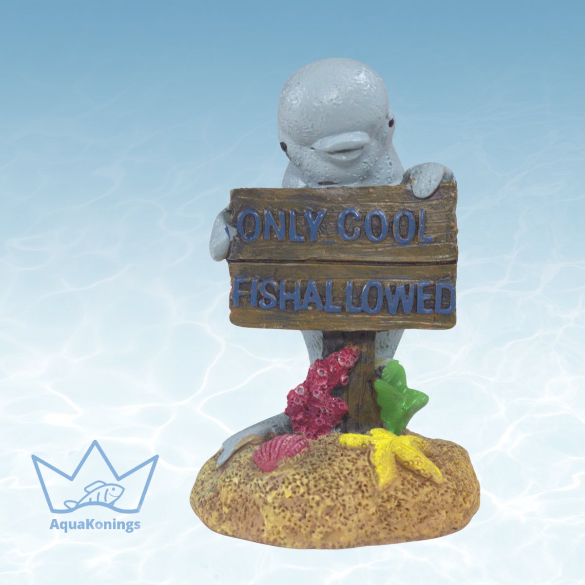 AquaKonings - Aquarium decoratie - Ornamenten - Only cool fish allowed dolfijn - 6x5x10.5