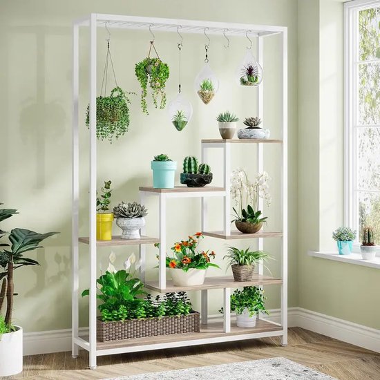 Groene Boom Verse Lucht Met Plantenboom Voor Een Goed Milieu in Het