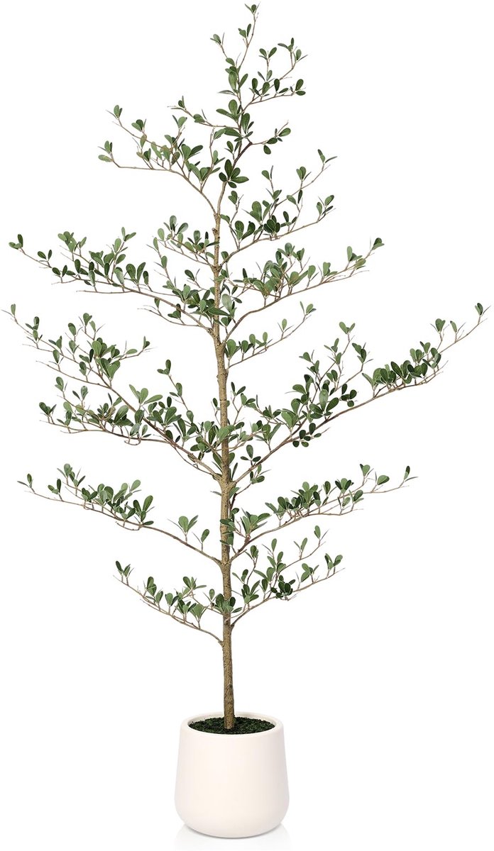 VeriNatural Kunstzwarte Olijfboom 150cm Kunstplant - Grote Kunstplanten met UV-bescherming, Kunstboom in een Witte Pot met Groen Kunstmos - voor Badkamer, Balkon, Tuindecoratie, VN124